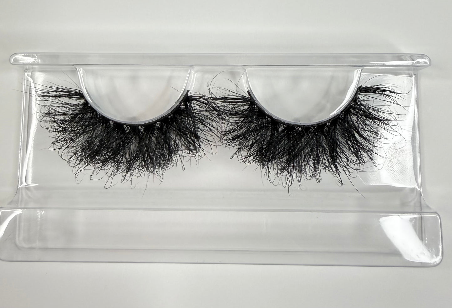 Spotlight Lash