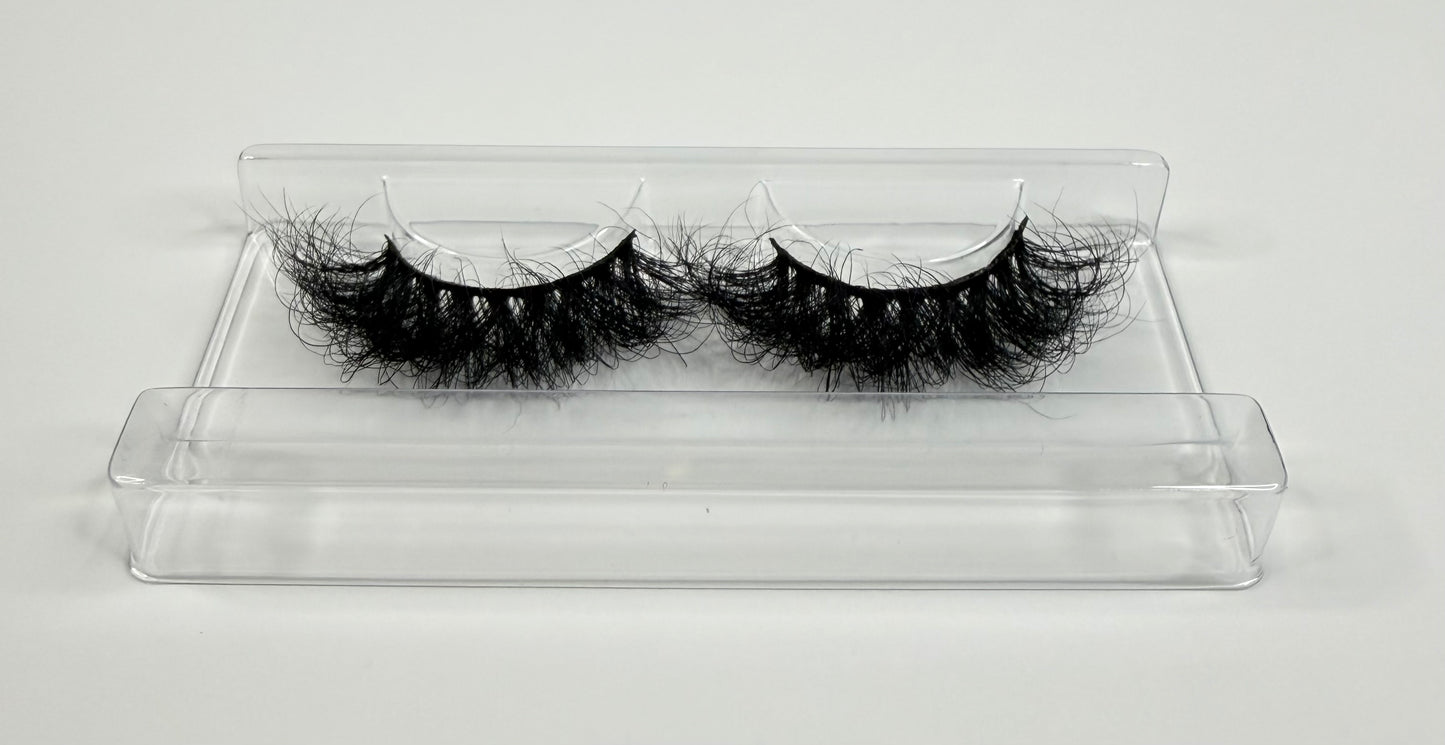 Spotlight Lash